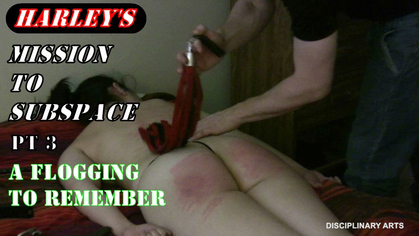 Harley's Mission to Subspace Pt 3: A Flogging to Remember